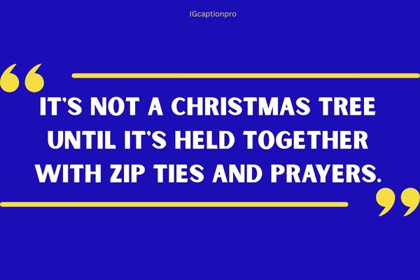 funny-family-quotes