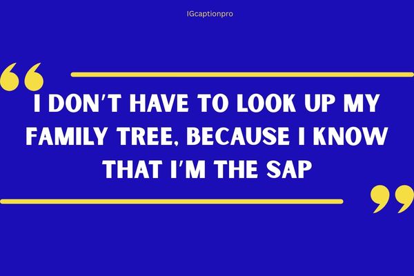 Crazy Funny Family Quotes