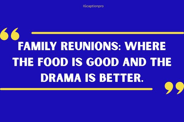 Family Reunion Quotes Funny
