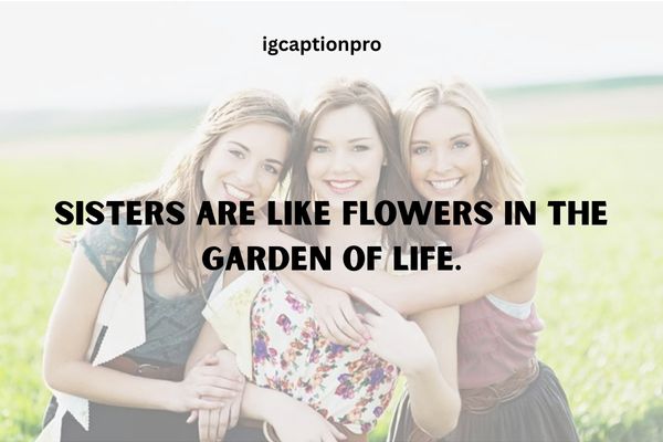 cute-sister-captions
