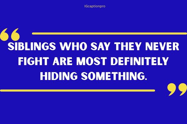 Family Quotes Funny About Siblings