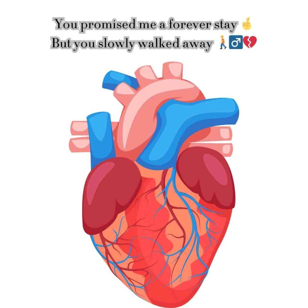 Sad love shayari in English