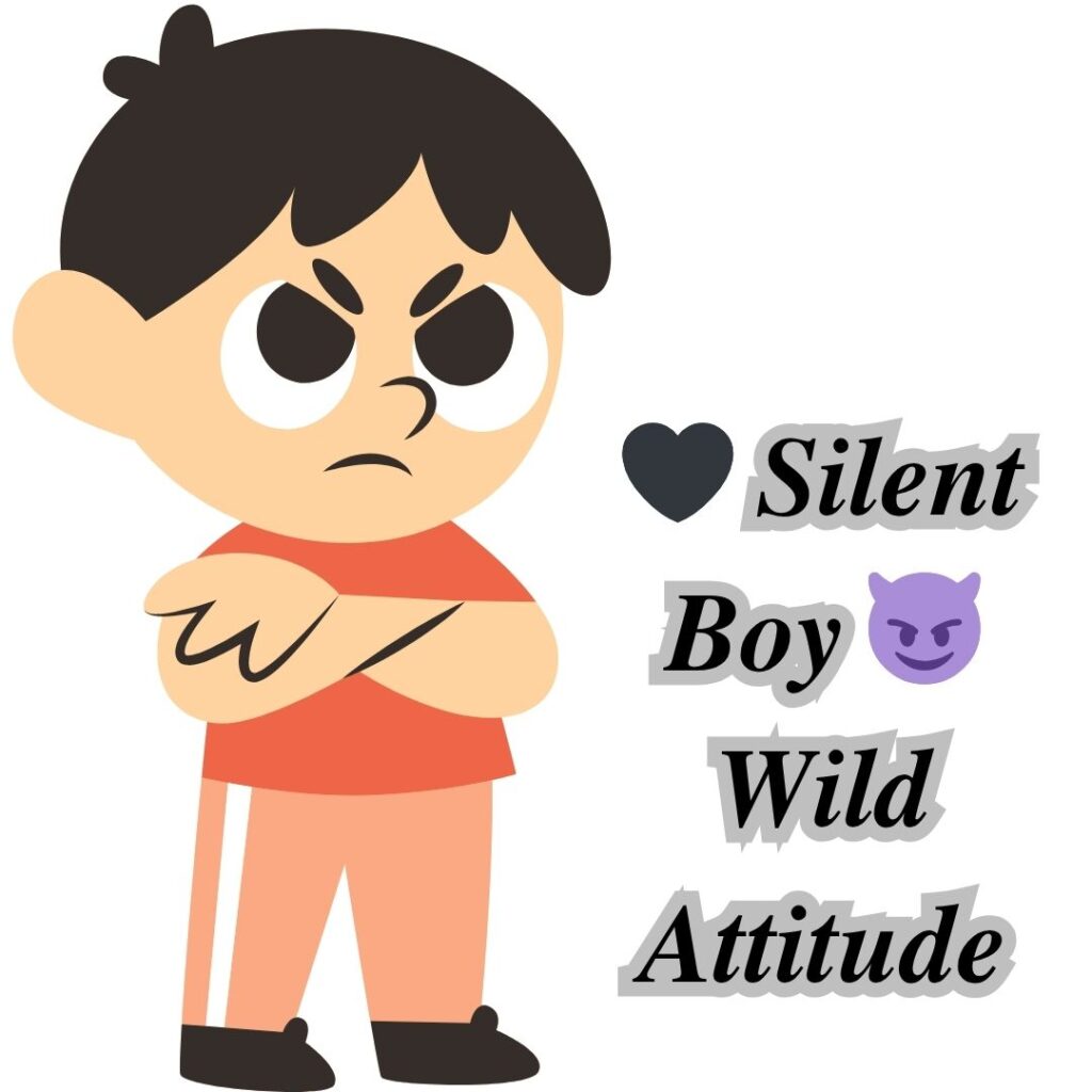 Instagram bio for boys stylish font