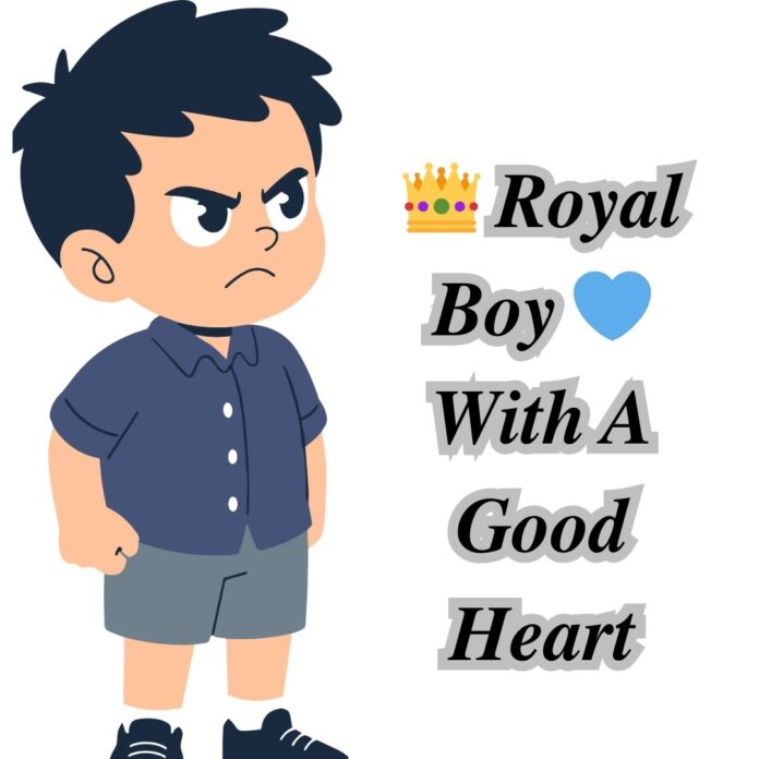 Instagram bio for boys stylish font
